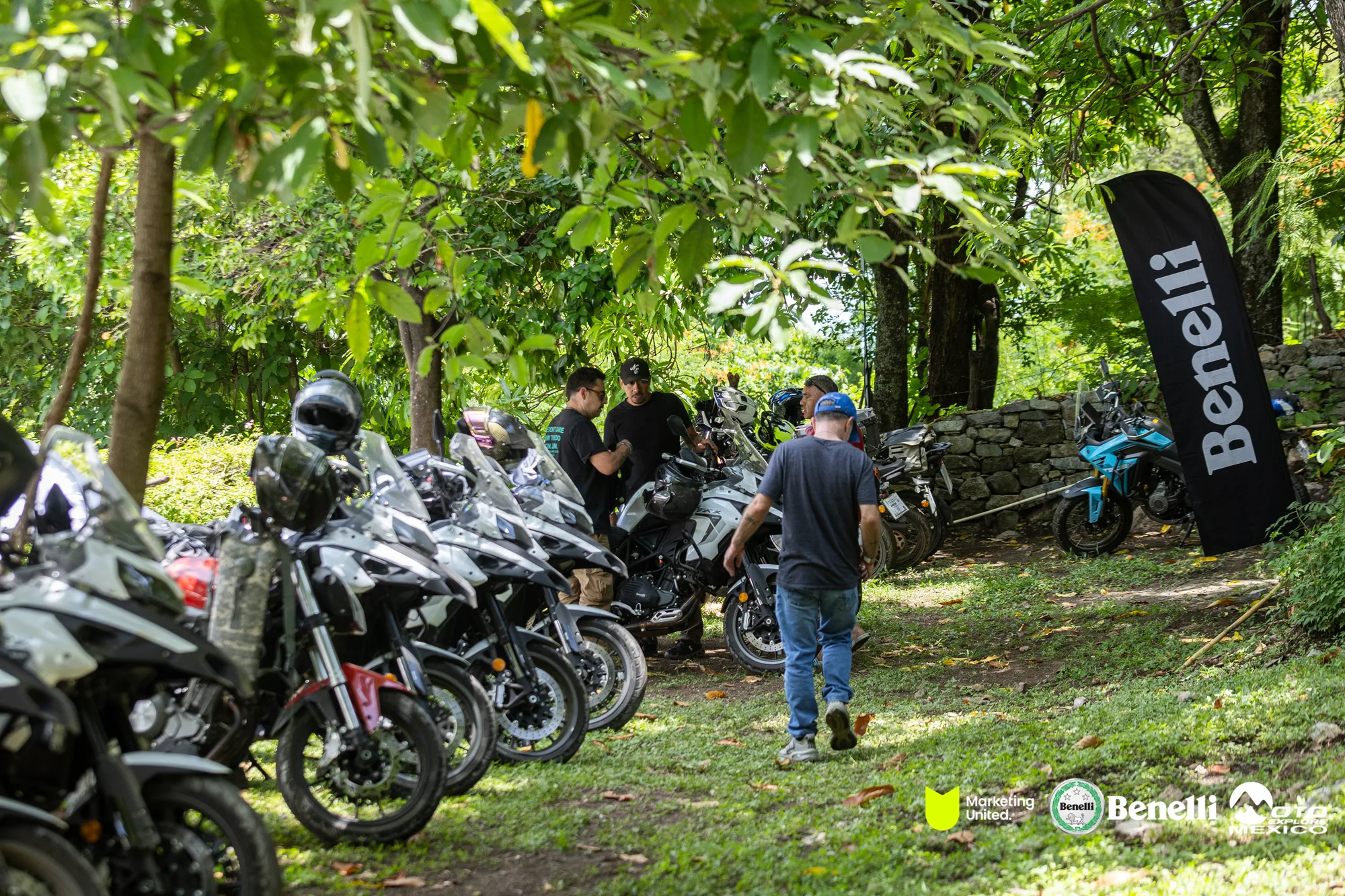 BENELLI TAXCO 387